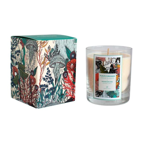 Scented Candle 230g MEMOIRES Fresque Sous-Marine