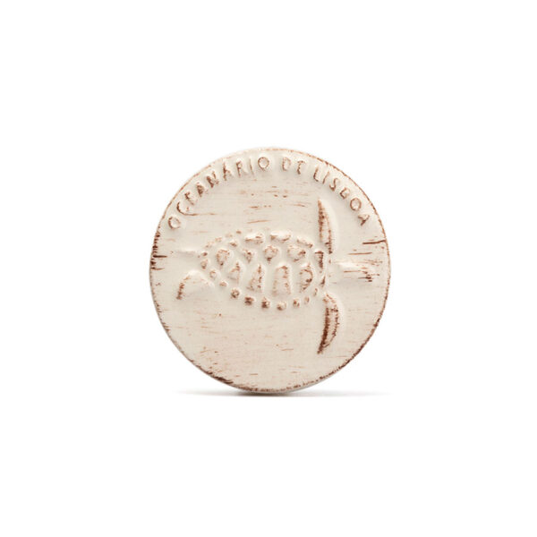 Magnet ?7 NSCIENCE Turtle