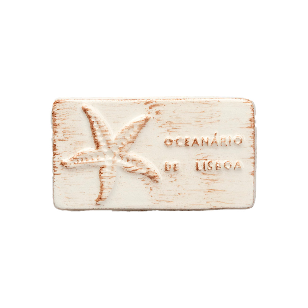 Magnet Ø9 NSCIENCE Starfish